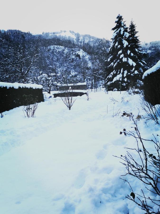 Apartment Carpe Diem - Cote-montagnes Oderen